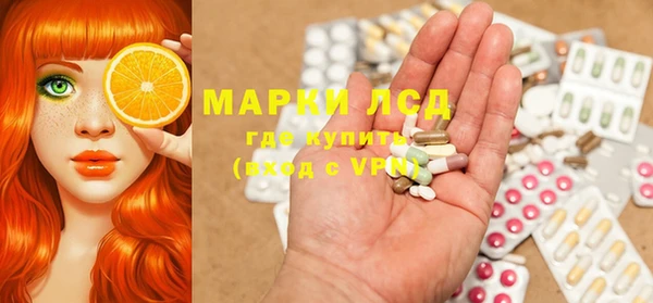 стафф Надым