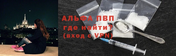 прущие грибы Михайлов