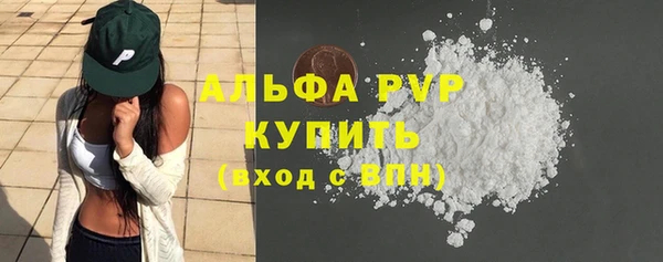 прущие грибы Михайлов