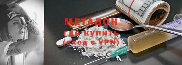 прущие грибы Михайлов