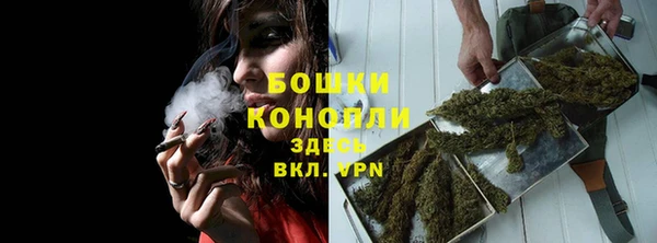 прущие грибы Михайлов