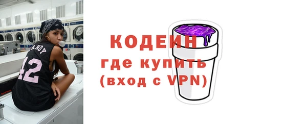 прущие грибы Михайлов