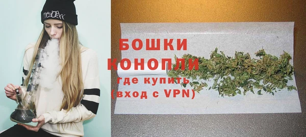 прущие грибы Михайлов