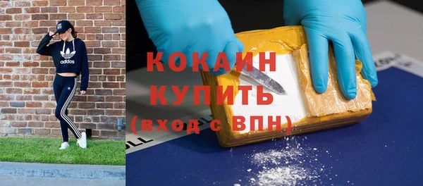стафф Надым
