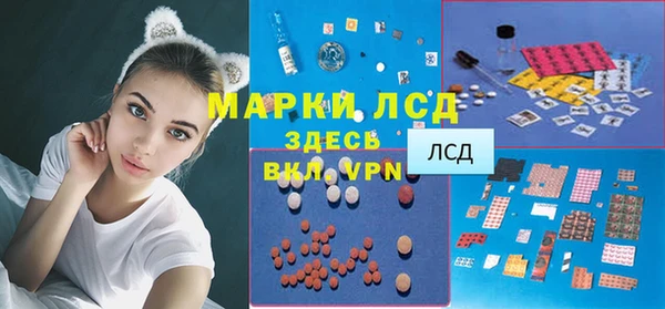 прущие грибы Михайлов