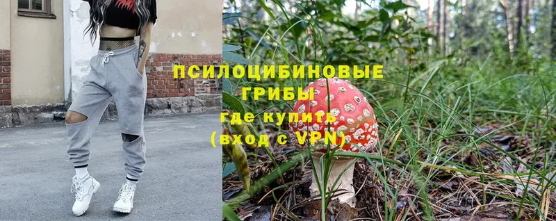 Галлюциногенные грибы Cubensis  Кулебаки 