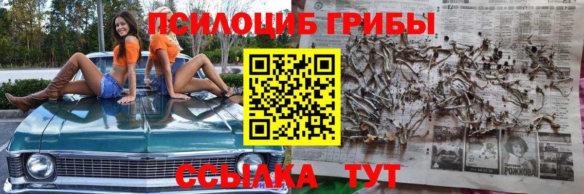 Галлюциногенные грибы GOLDEN TEACHER  Кулебаки 