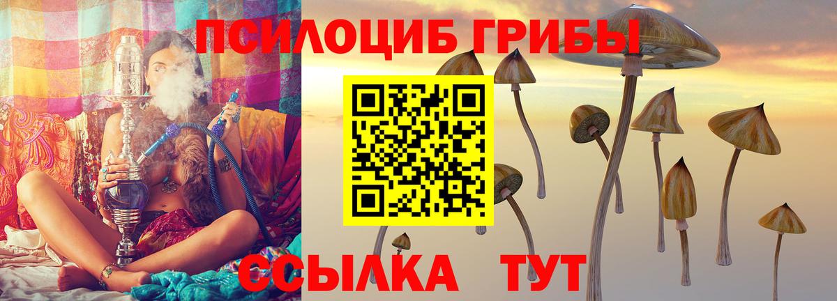 Галлюциногенные грибы мицелий Кулебаки