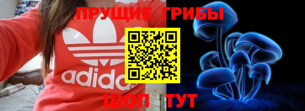 Псилоцибиновые грибы прущие грибы  Псилоцибиновые грибы MAGIC MUSHROOMS  Вход с VPN  Кулебаки 